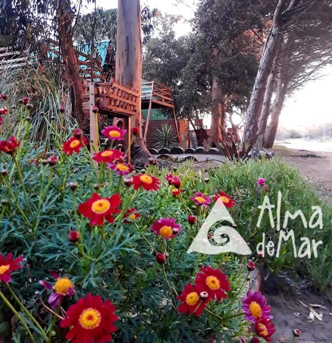 Cabañas Alma de Mar Sol y Bruma a pasos del mar en Balneario Reta