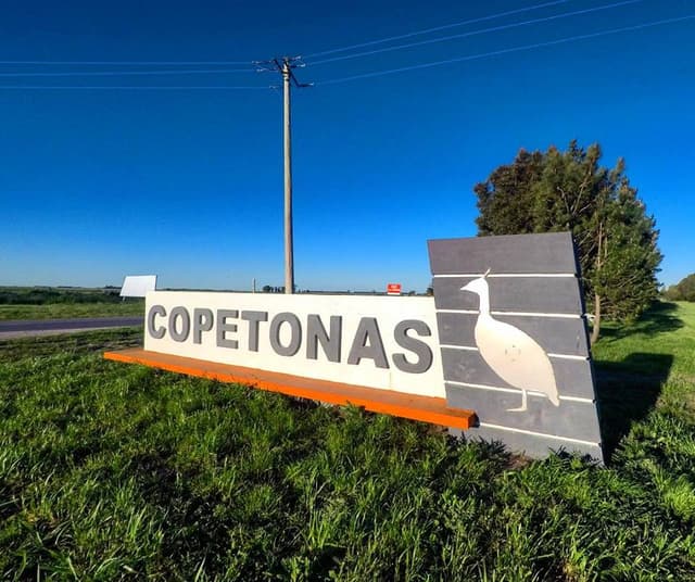 CopetonasReta