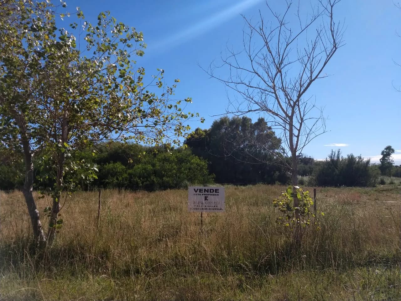 T010 - Cuatro Terrenos en Zona Centrica