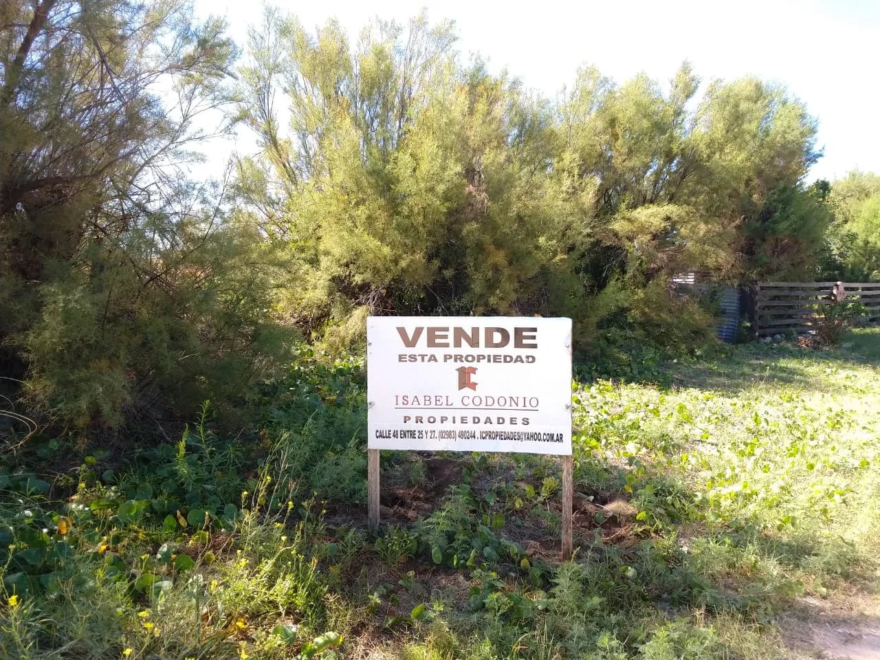 T029 - Lote en Zona Tranquila de Excelentes Dimensiones
