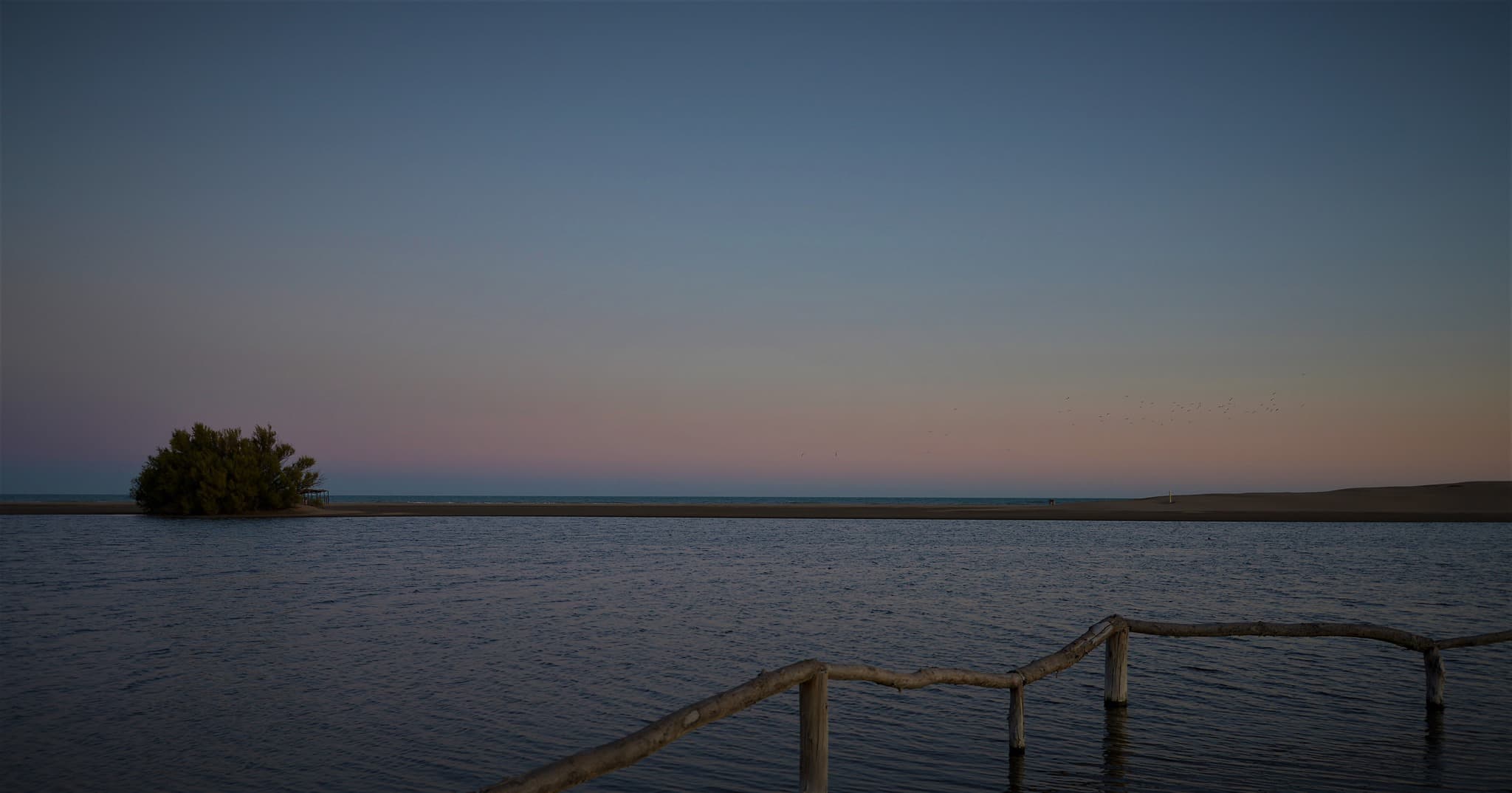 La Albúfera - Foto de galería de turismo nº 9 en Balneario Reta