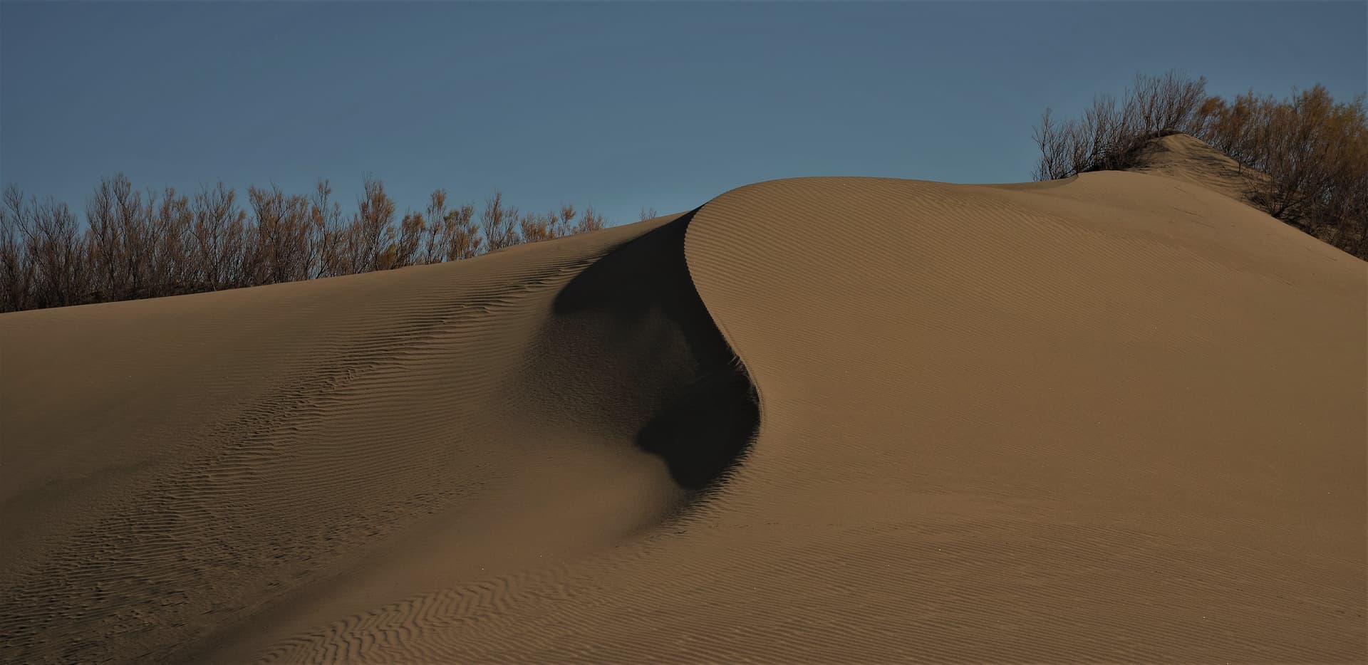 Médanos y Playas de Reta
