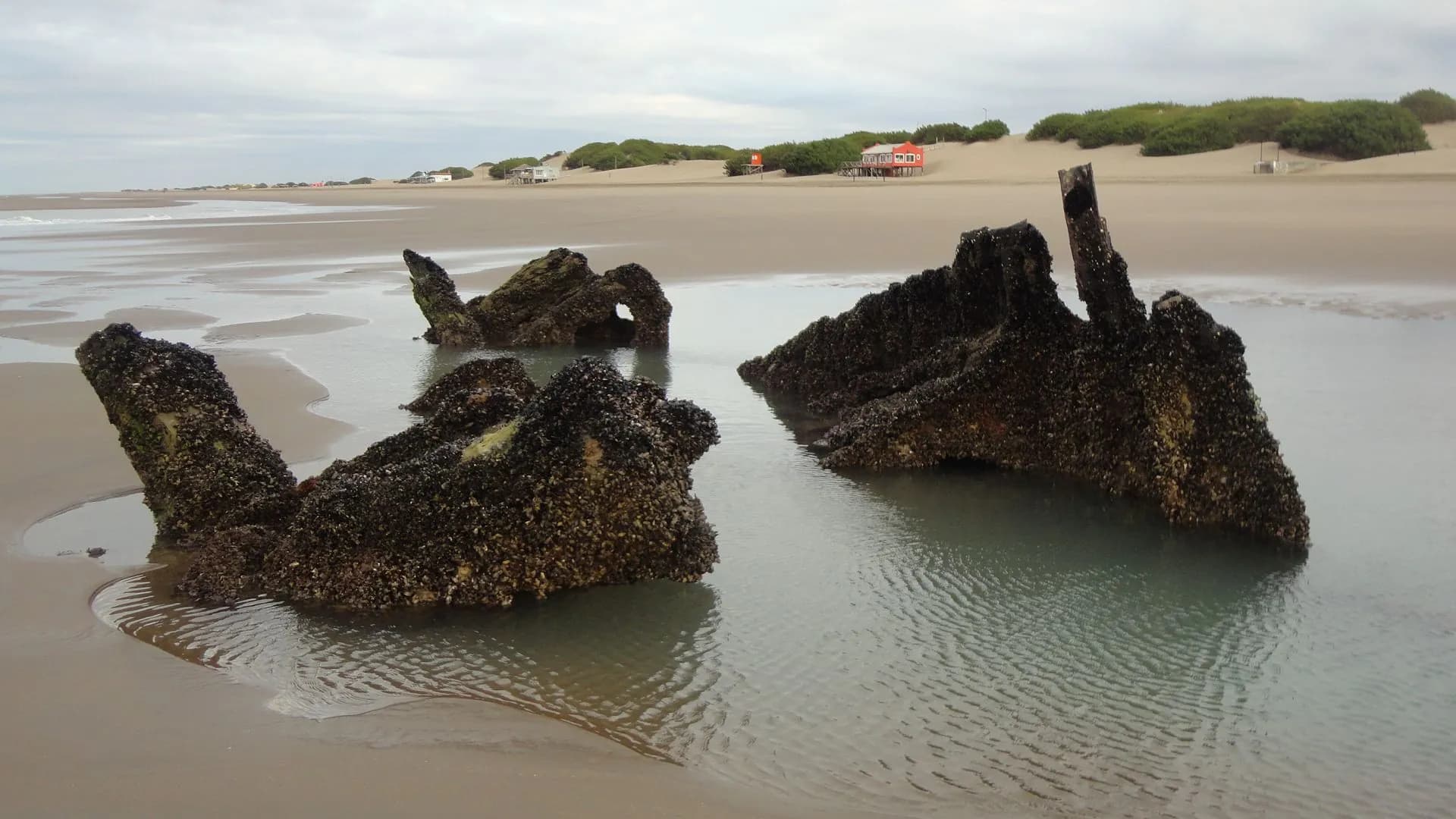 Restos del histórico barco hundido visibles sobre la playa durante la bajamar en Balneario Reta