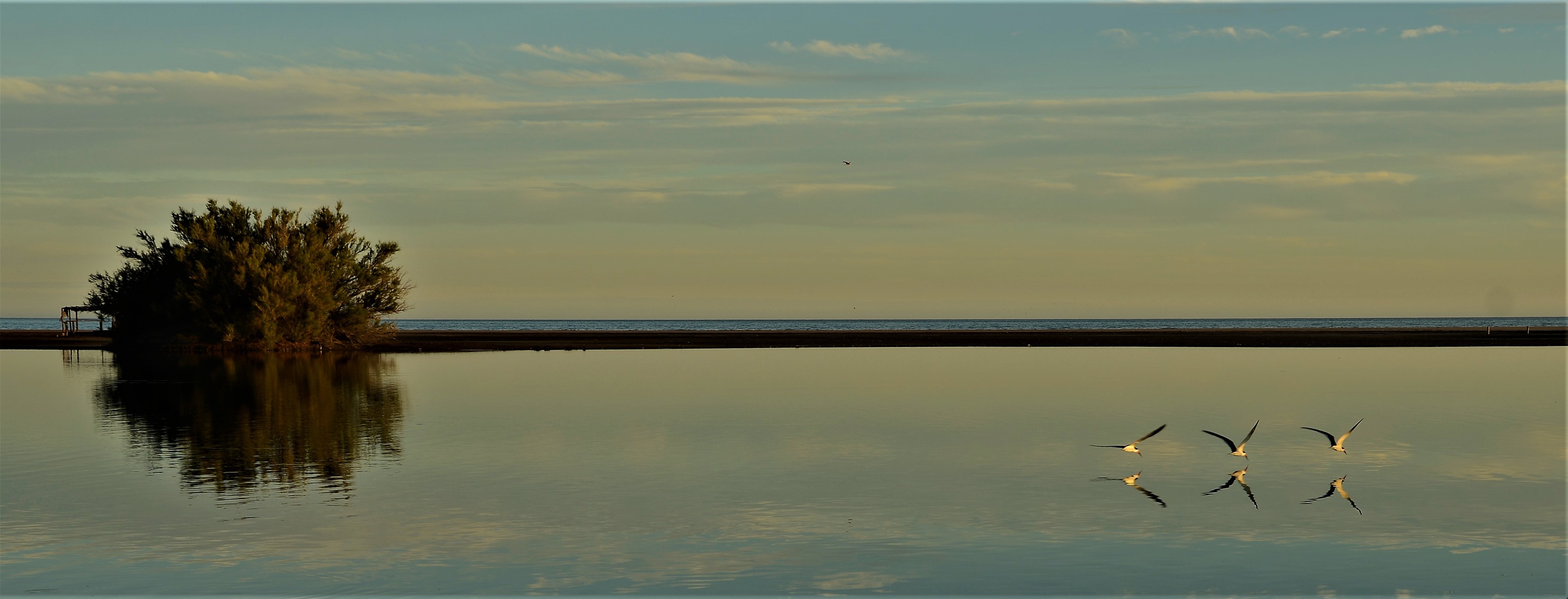 Paisaje de la Albufera de Reta