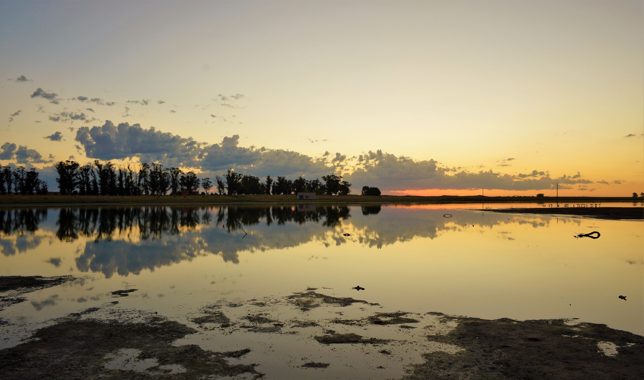 Reflejos de Campo en Balneario Reta