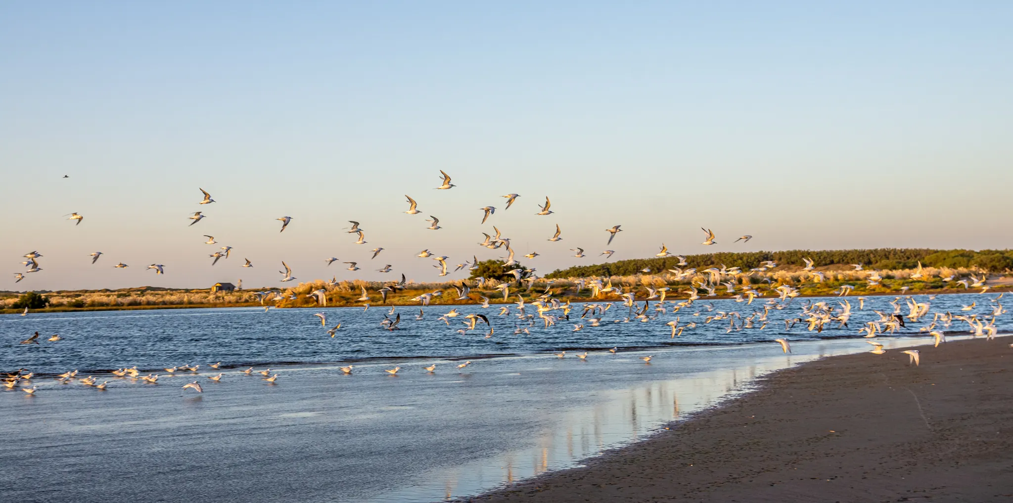 La Albúfera - Foto de galería de turismo nº 2 en Balneario Reta