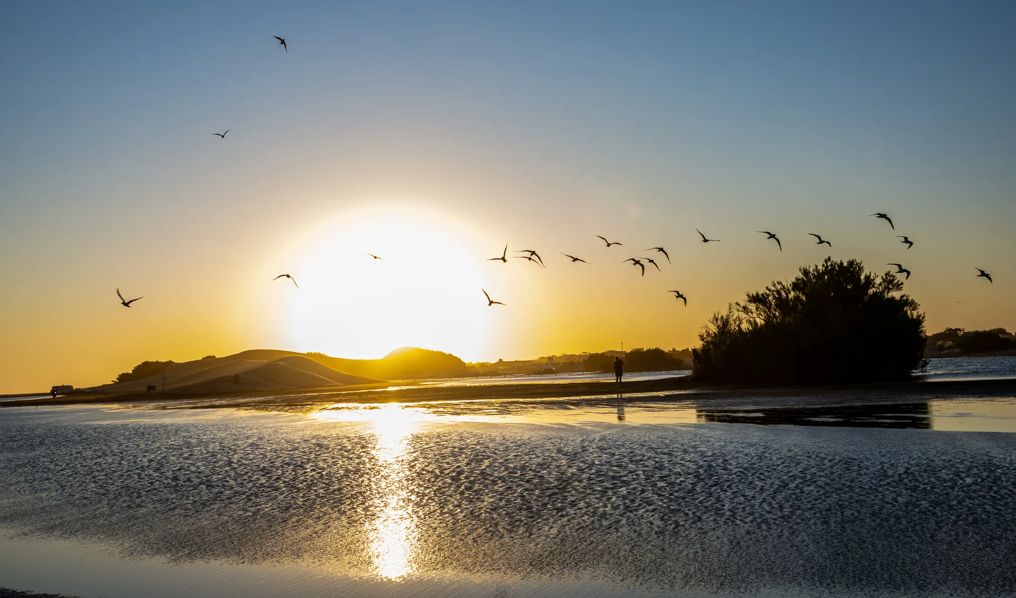 La Albúfera - Foto de galería de turismo nº 3 en Balneario Reta